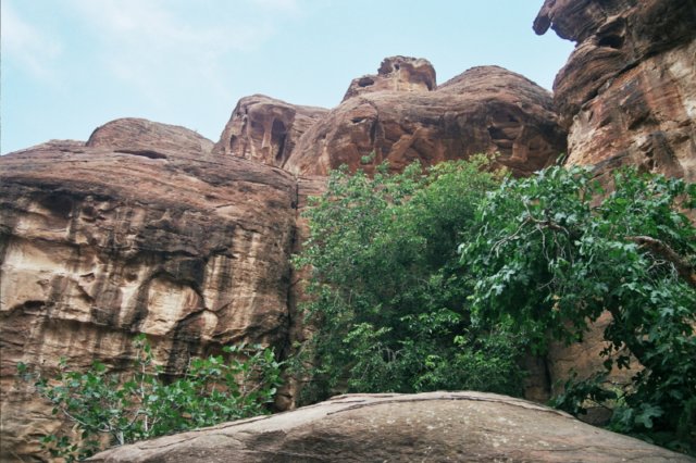 Photograph