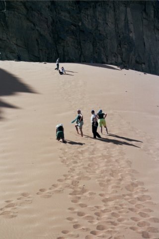 Photograph