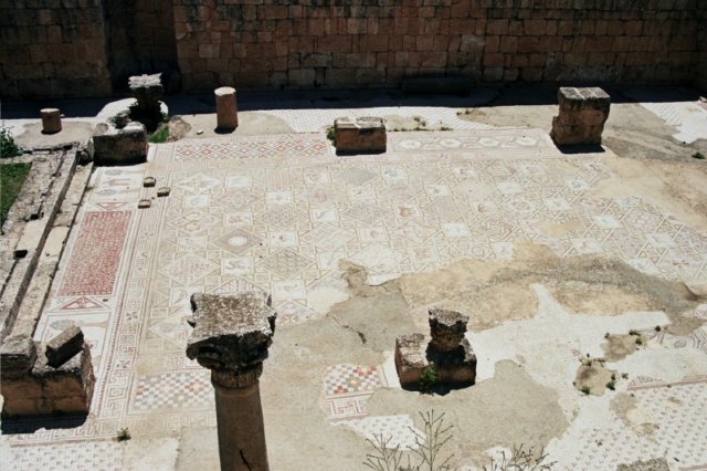 Photograph
