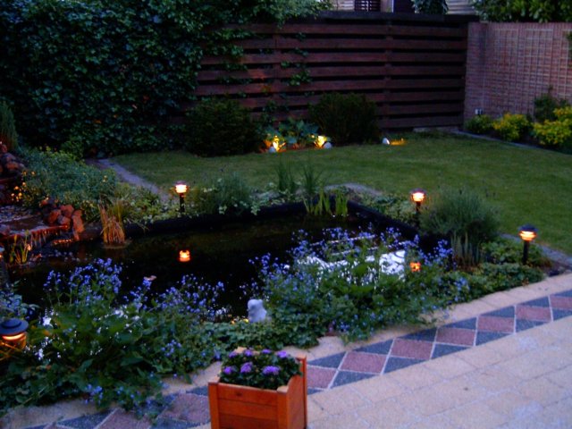 photo3.jpg