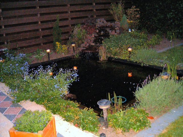 photo4.jpg