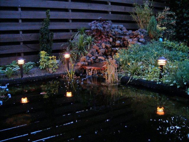photo5.jpg